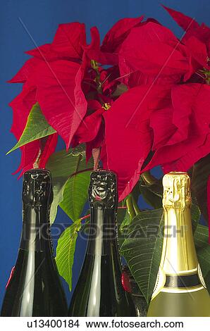 Christmas, Motifs, Christmas motifs, Christmas decorations, Ornaments, Flower, Easter View Large Photo Image Picture - Christmas, Motifs, Christmas motifs, Christmas decorations, Ornaments, Flower, Easter. Fotosearch