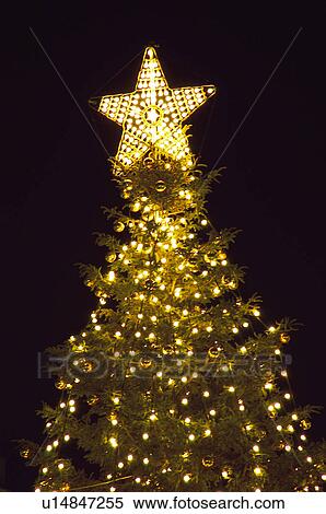 Stock Photography - Christmas, Motifs, Christmas motifs, Christmas decorations, Ornaments, Christmas tree, Star. Fotosearch