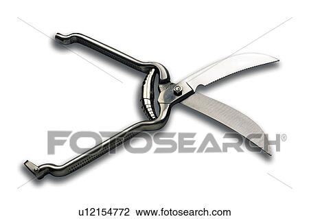 Stock Image - Kitchen, Utensil, Utensils, Kitchen utensils, Kitchen objects, Cook, Cooking. Fotosearch