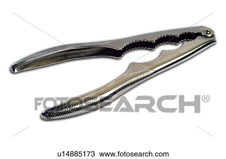 Kitchen, Utensil, Utensils, Kitchen utensils, Kitchen objects, Cook, Cooking View Large Photo Image Stock Image - Kitchen, Utensil, Utensils, Kitchen utensils, Kitchen objects, Cook, Cooking. Fotosearch