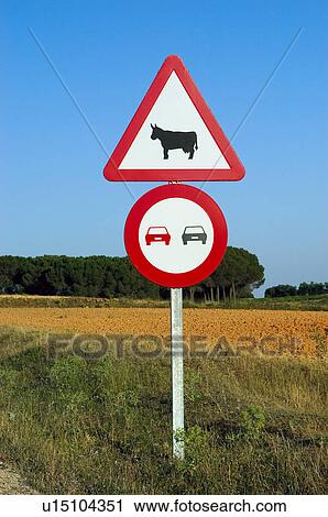 Road, Road sign, Road signs, Traffic sign, Traffic signs, Warning sign, Warning signs View Large Photo Image Stock Image - Road, Road sign, Road signs, Traffic sign, Traffic signs, Warning sign, Warning signs. Fotosearch