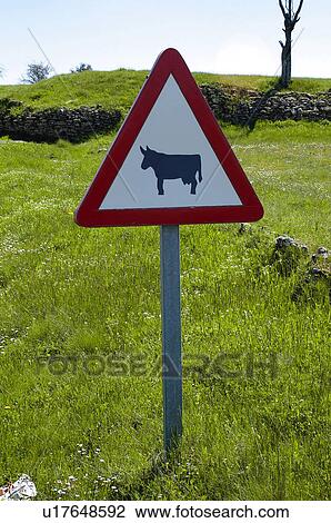Stock Image - Road, Road sign, Road signs, Traffic sign, Traffic signs, Warning sign, Warning signs. Fotosearch