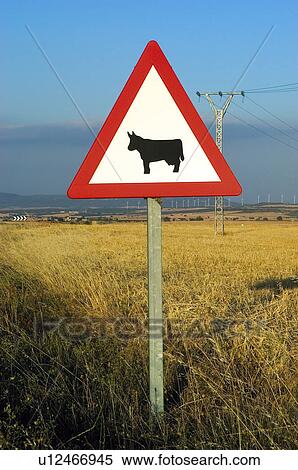 Road, Road sign, Road signs, Traffic sign, Traffic signs, Warning sign, Warning signs View Large Photo Image Stock Photography - Road, Road sign, Road signs, Traffic sign, Traffic signs, Warning sign, Warning signs. Fotosearch