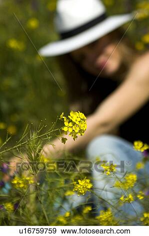 Woman, Young, Nature, Country, Flowers, Country of flowers, Yellow View Large Photo Image Stock Photo - Woman, Young, Nature, Country, Flowers, Country of flowers, Yellow. Fotosearch