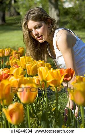Woman, Young, Nature, Country, Flowers, Beauty, Blond View Large Photo Image Picture - Woman, Young, Nature, Country, Flowers, Beauty, Blond. Fotosearch