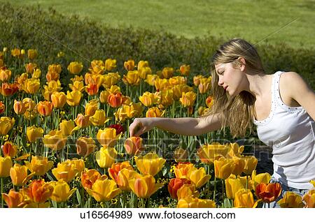 Woman, Young, Nature, Country, Flowers, Beauty, Blond View Large Photo Image Stock Photo - Woman, Young, Nature, Country, Flowers, Beauty, Blond. Fotosearch