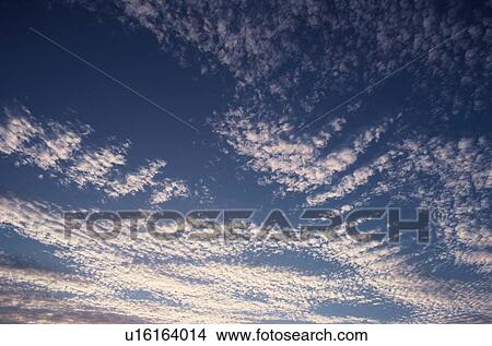 Cirrocumulus Clouds View Large Photo Image Picture - Cirrocumulus Clouds. Fotosearch