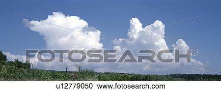 Stock Image - Cumulus And A Field. Fotosearch