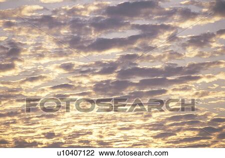 Stock Image - Morning Glow. Fotosearch
