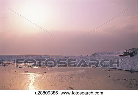 Drift Ice And The Morning Sun View Large Photo Image Stock Photograph - Drift Ice And The Morning Sun. Fotosearch