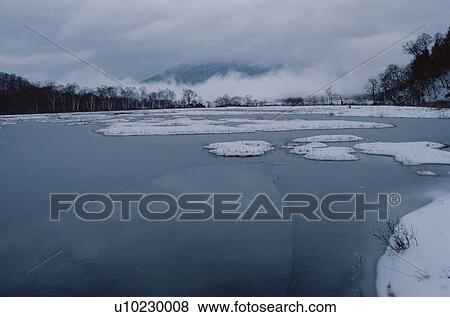 Stock Photo - Trees Near Snowy Lake. Fotosearch