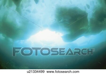 Stock Photo - Underwater Drift Ice. Fotosearch