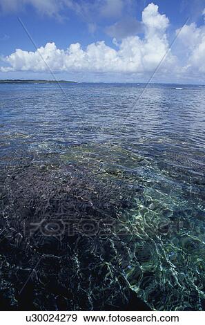 Stock Photo - A Blue Sky And A Coral Reef. Fotosearch