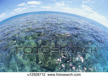 Stock Image - A Coral Reef And A Blue Sky. Fotosearch
