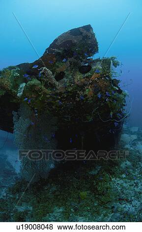 Fighter Plane Which Sleeps On The Seabed View Large Photo Image Stock Photo - Fighter Plane Which Sleeps On The Seabed. Fotosearch