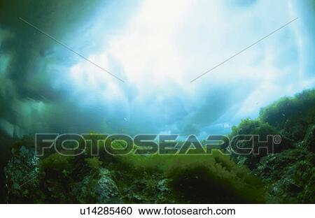 Underwater Drift Ice View Large Photo Image Stock Image - Underwater Drift Ice. Fotosearch