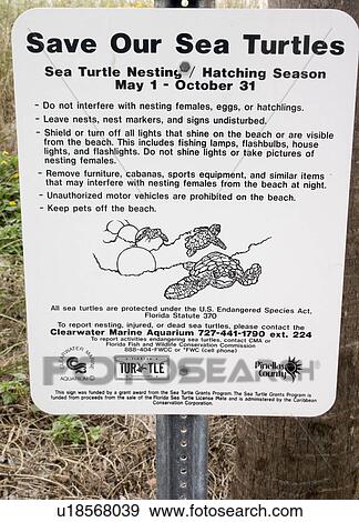 Stock Photo - Environmental sign to save our sea turtles. Fotosearch