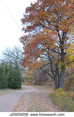 Stock Photo - An inviting path along the South Mississippi River Boulevard. Fotosearch