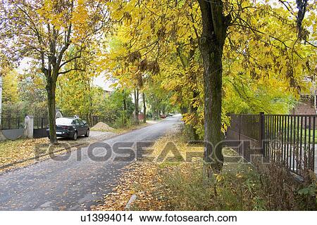 Picture - Scenic suburban street in autumn. Lodz Central Poland. Fotosearch