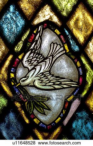 Stained glass window of dove carrying an olive branch View Large Photo Image Stock Photo - Stained glass window of dove carrying an olive branch. Fotosearch