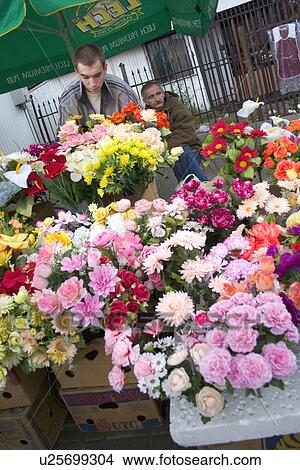Picture - Artificial and fresh flowers. Fotosearch
