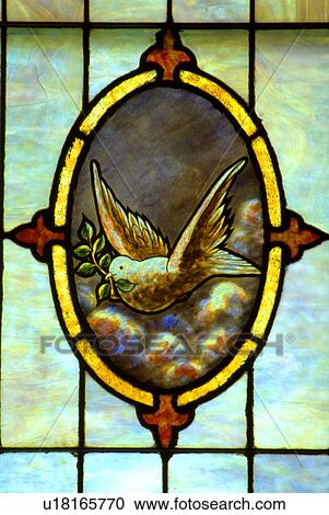 Holy Communion Church stained glass of dove flying with olive branch View Large Photo Image Stock Image - Holy Communion Church stained glass of dove flying with olive branch. Fotosearch