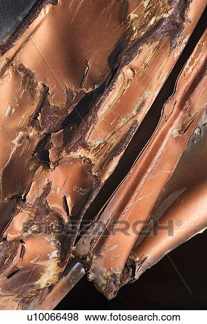 Stock Photo - Close-up of old car that appears to have been crashed.. Fotosearch