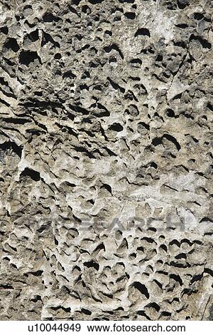 Stock Photo - Close-up of rock formation texture in Maui, Hawaii, USA.. Fotosearch