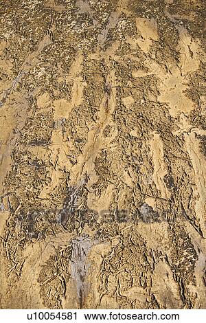 Stock Image - Dry textured dirt on ground. Fotosearch