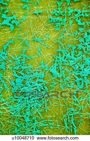 Stock Image - Green abstract exterior detail. Fotosearch