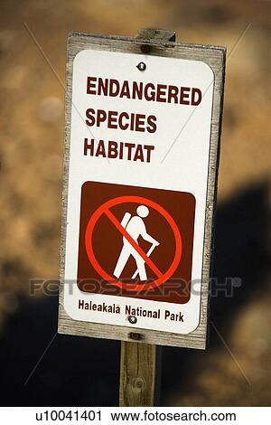 Endangered species habitat sign in Haleakala National Park in Maui, Hawaii. View Large Photo Image Stock Image - Endangered species habitat sign in Haleakala National Park in Maui, Hawaii.. Fotosearch