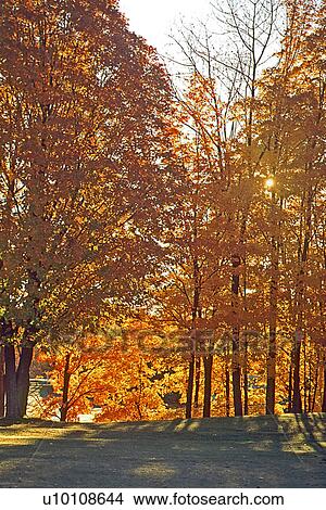 Autumn Scene View Large Photo Image Picture - Autumn Scene. Fotosearch