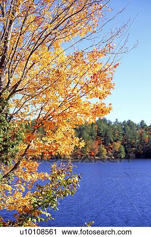 Autumn Scene View Large Photo Image Stock Image - Autumn Scene. Fotosearch