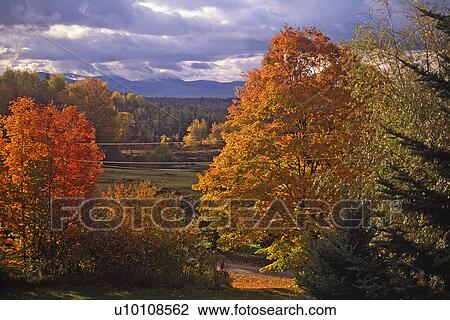 Stock Image - Autumn Scene. Fotosearch