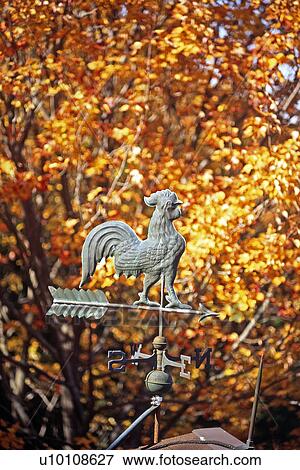 Autumn Scene View Large Photo Image Stock Photo - Autumn Scene. Fotosearch