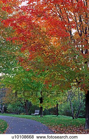 Stock Photo - Autumn Scene. Fotosearch
