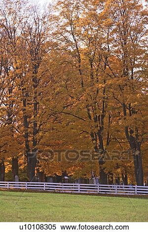 Autumn Scene View Large Photo Image Stock Photography - Autumn Scene. Fotosearch