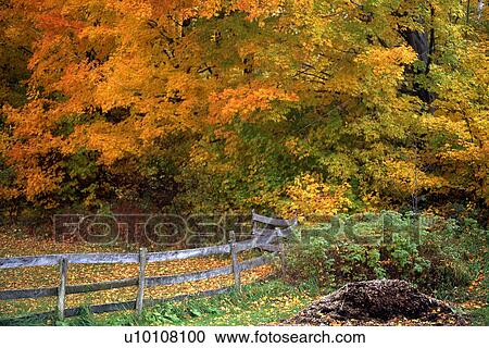 Fall Colors View Large Photo Image Stock Image - Fall Colors. Fotosearch