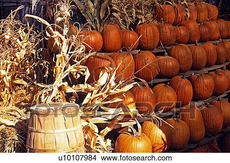 Picture - Fall Market produce. Fotosearch