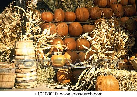 Fall Market produce View Large Photo Image Stock Image - Fall Market produce. Fotosearch