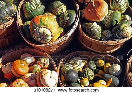 Fall Market produce View Large Photo Image Stock Photo - Fall Market produce. Fotosearch