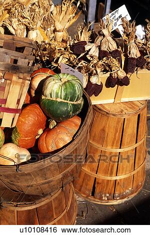 Fall Market produce View Large Photo Image Stock Photograph - Fall Market produce. Fotosearch