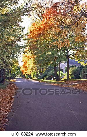 Fall Scene View Large Photo Image Picture - Fall Scene. Fotosearch