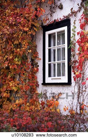 Stock Image - Fall Scene. Fotosearch