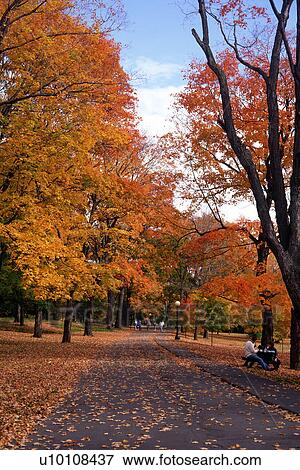 Stock Photo - Fall Scene. Fotosearch