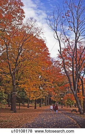 Stock Photo - Park in Fall. Fotosearch