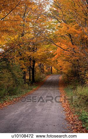 Stock Image - Roadway in Autumn. Fotosearch