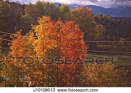 Scene in Autumn View Large Photo Image Stock Image - Scene in Autumn. Fotosearch