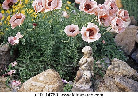 Stock Photo - Poppies and garden statue. Fotosearch
