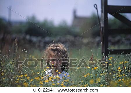Child in field of buttercups View Large Photo Image Stock Image - Child in field of buttercups. Fotosearch